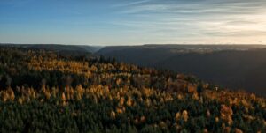 Blick richtung Bad Liebenzell in das Nagoldtal