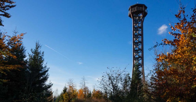Aussichtsturm Hohe Warte: Blick in den Nordschwarzwald Aussichtsturm Hohe Warte: Blick in den Nordschwarzwald