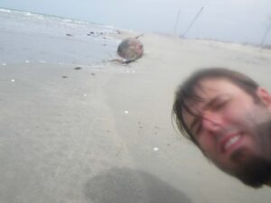 Der tote Delfin und ich