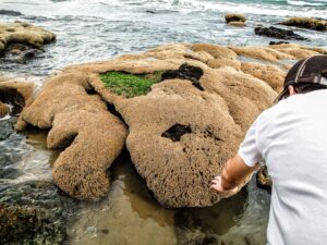 Komisches Zeug im Wasser