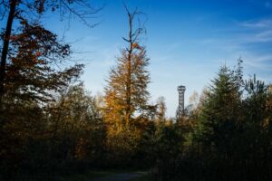 Wanderrung zur Hohen Warte