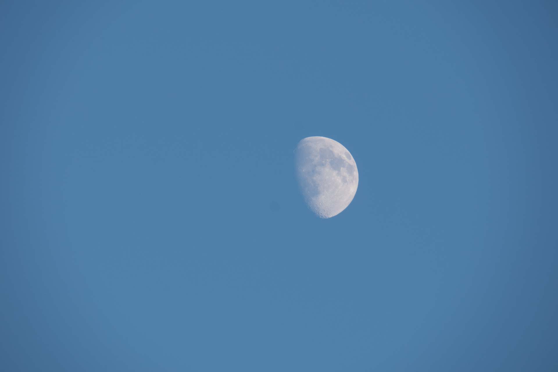 Mond