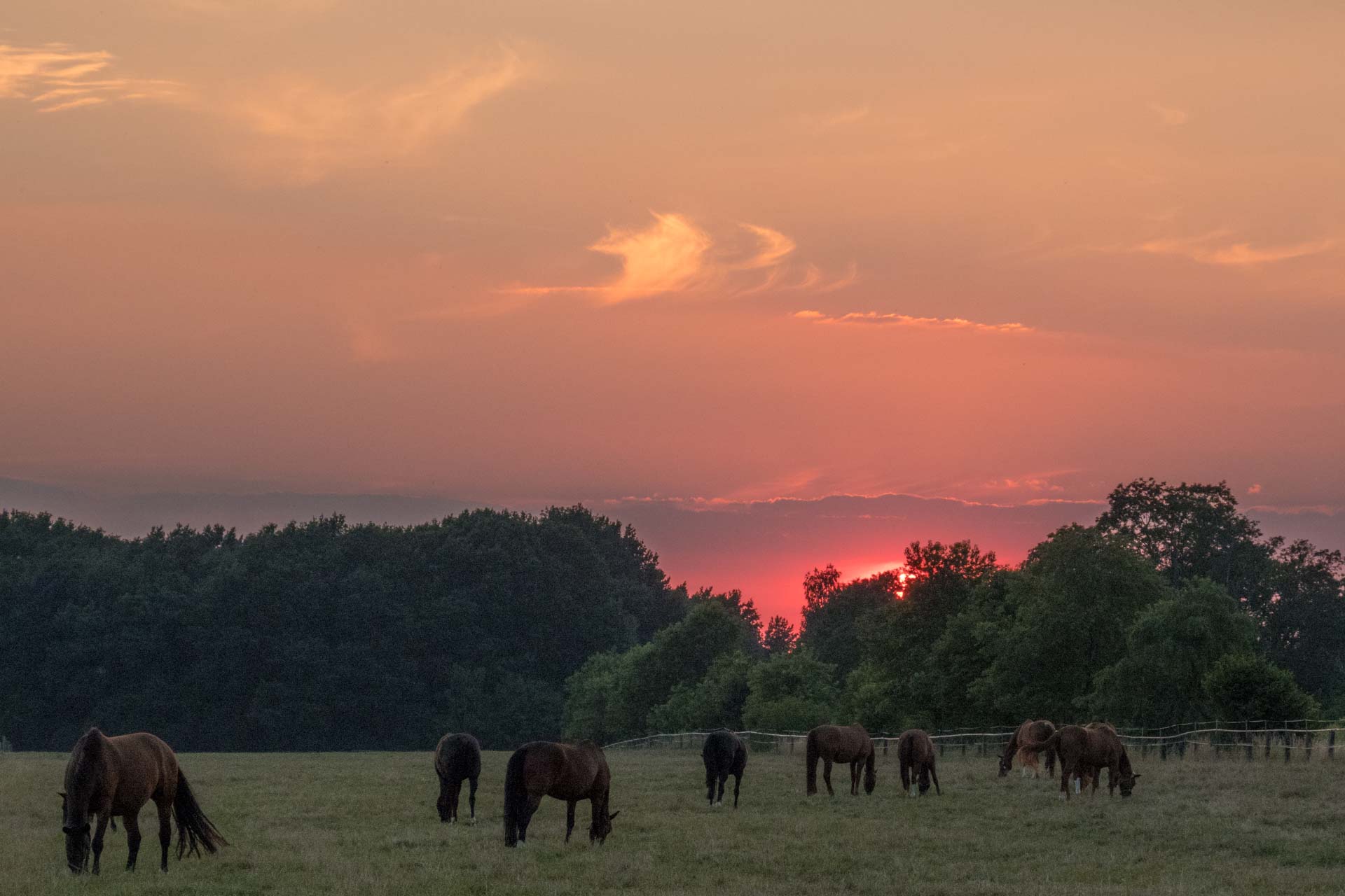Sonnenuntergang