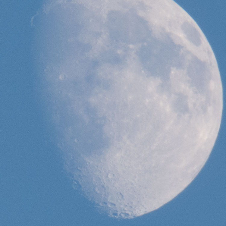 Mond