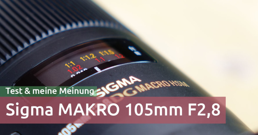 Sigma MAKRO 105mm F2,8 EX DG OS HSM in der Praxis – Test & meine Meinung Sigma MAKRO 105mm F2,8 EX DG OS HSM in der Praxis – Test & meine Meinung