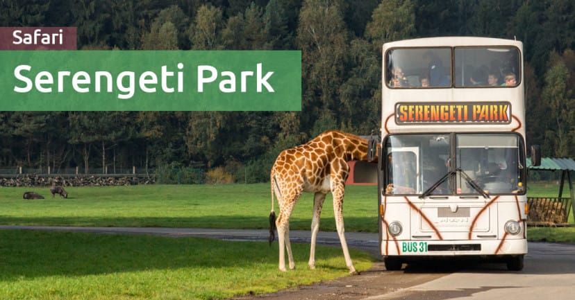 Serengeti Park mit Kleinkind: Erfahrungen und Tipps Serengeti Park mit Kleinkind: Erfahrungen und Tipps