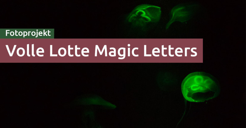Volle Lotte Magic Letters: A-Z Volle Lotte Magic Letters: A-Z