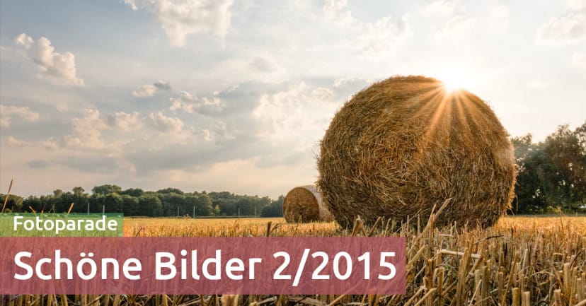 Fotoparade – die schönsten Bilder aus Halbjahr 2/2015 Fotoparade – die schönsten Bilder aus Halbjahr 2/2015