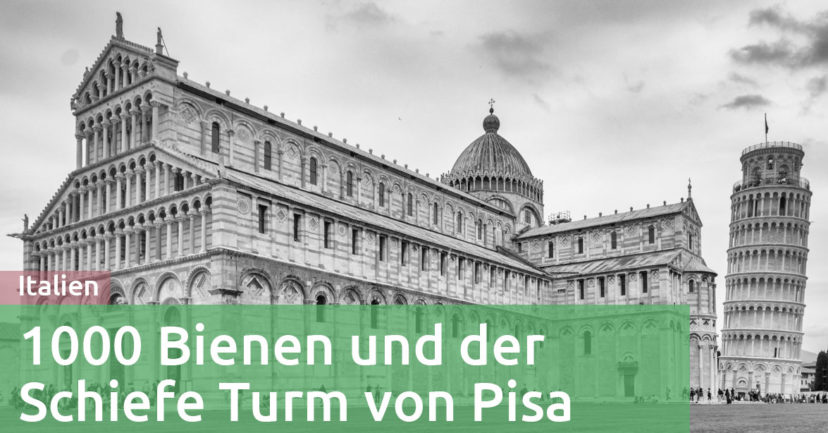 1000 Bienen und der Schiefe Turm von Pisa: Ein Erlebnis mit Kindern in schwarzweiß 1000 Bienen und der Schiefe Turm von Pisa: Ein Erlebnis mit Kindern in schwarzweiß