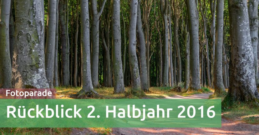Rückblick 2016/2 – was für ein (Halb-)Jahr! Rückblick 2016/2 – was für ein (Halb-)Jahr!