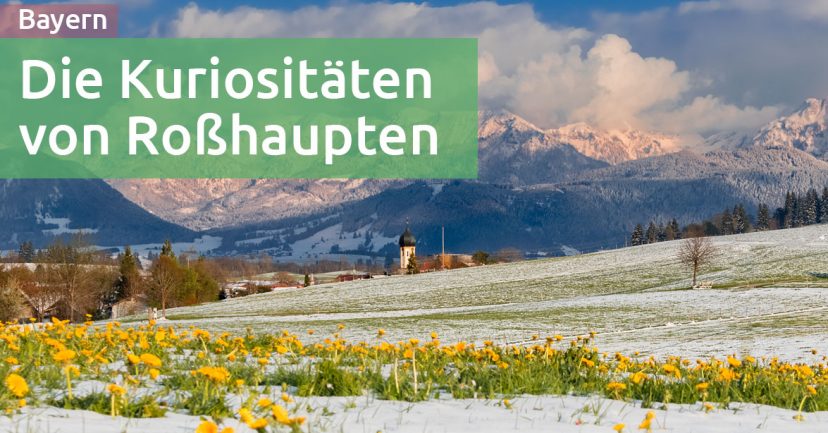 Drachen, Pferdeköpfe und weitere Kuriositäten in Roßhaupten im Allgäu Drachen, Pferdeköpfe und weitere Kuriositäten in Roßhaupten im Allgäu
