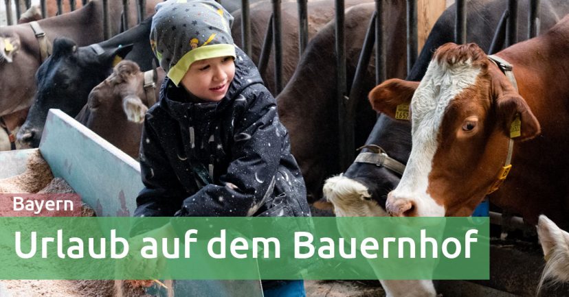 Urlaub auf dem Bauernhof mit Kind, Kamera und KönigsCard Urlaub auf dem Bauernhof mit Kind, Kamera und KönigsCard