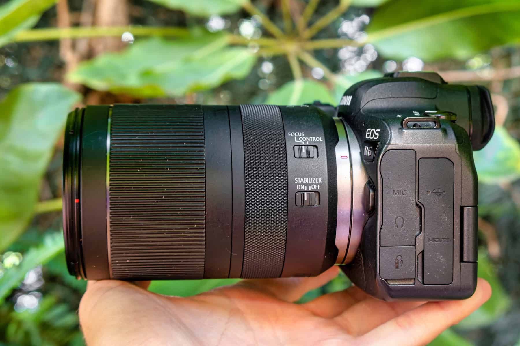 Canon EOS R6 + RF24-240mm