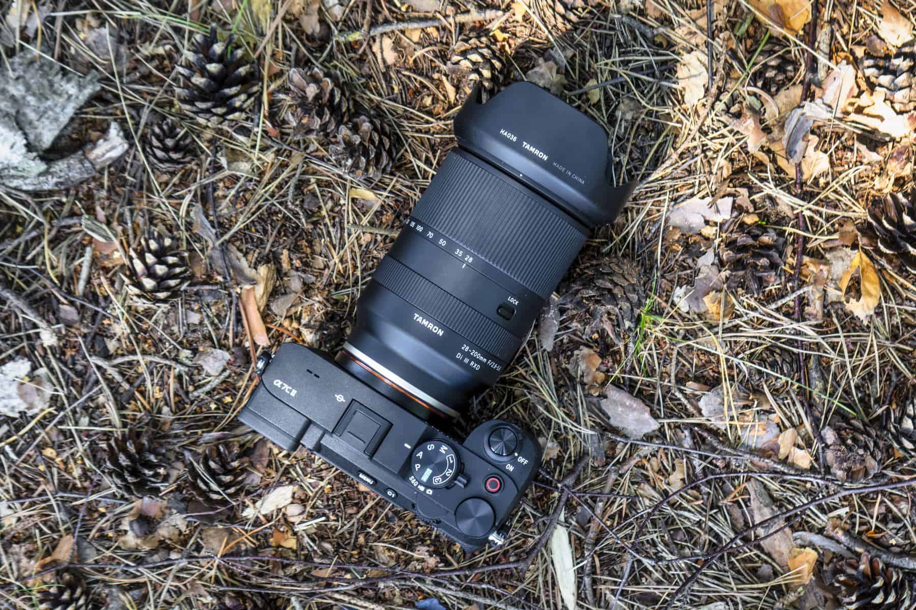 Sony A7C II und 28-200mm F/2.8-5.6 Di III RXD im Wald