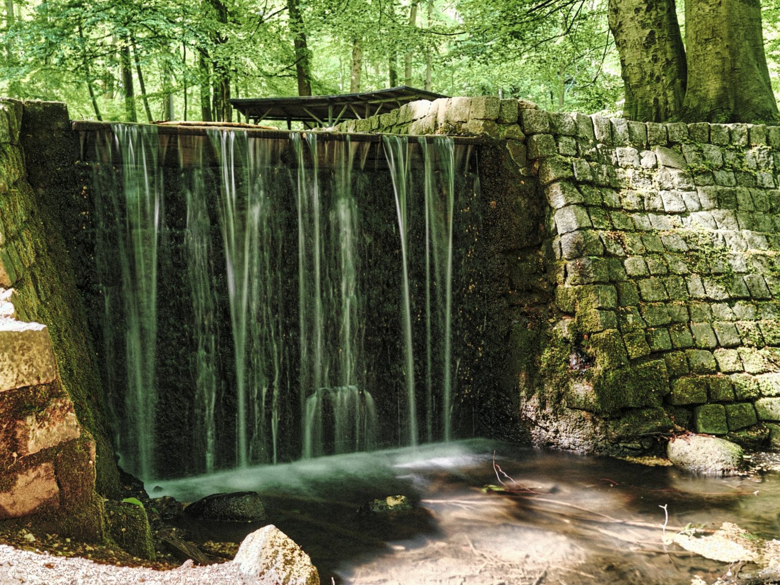 Der Cöthener Wasserfall fällt über eine bemooste Natursteinmauer im Wald