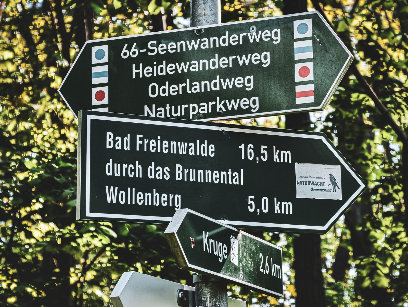 Wegweiser am Oderlandweg mit Markierungen für 66-Seen-Wanderweg, Heidewanderweg, Oderlandweg und Naturparkweg